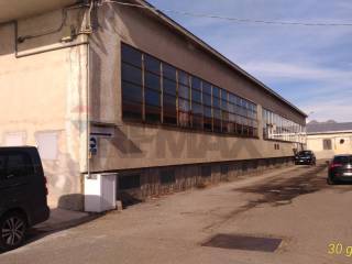 Zona