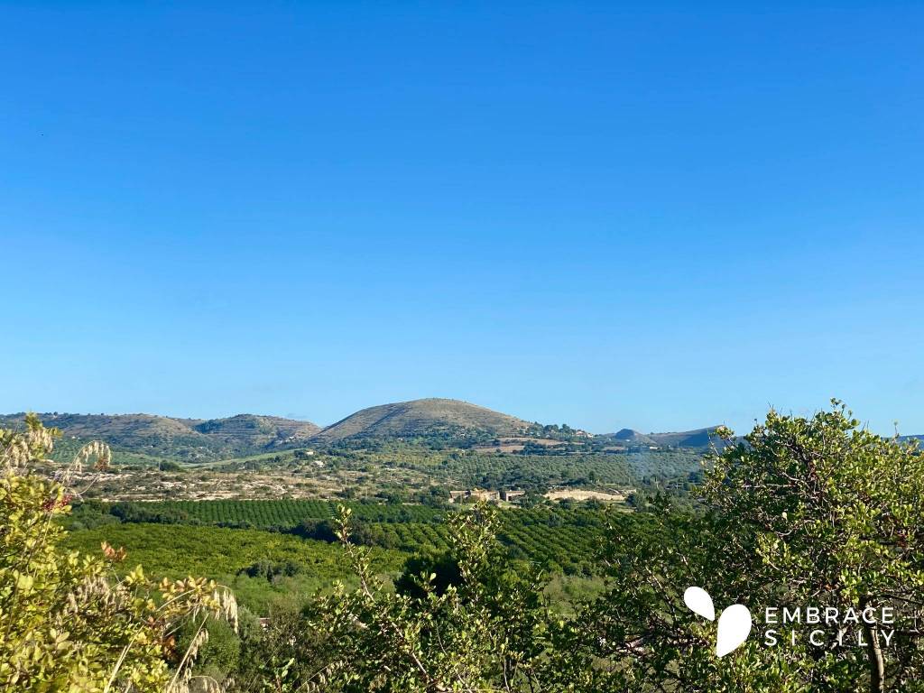 Vista