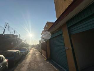 Zona