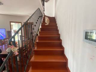 Scala