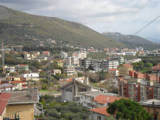 Vista