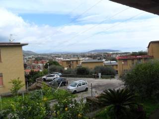 Vista