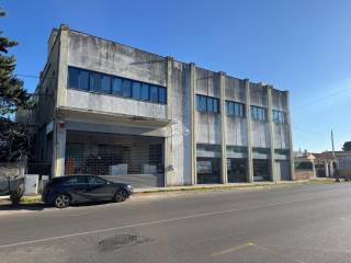 Zona