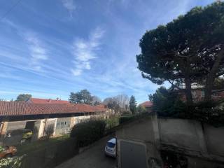 Vista