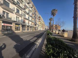 Zona