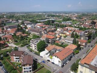 Vista