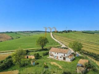 Vista