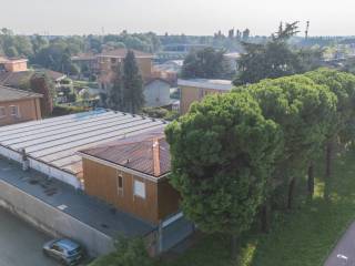 Vista