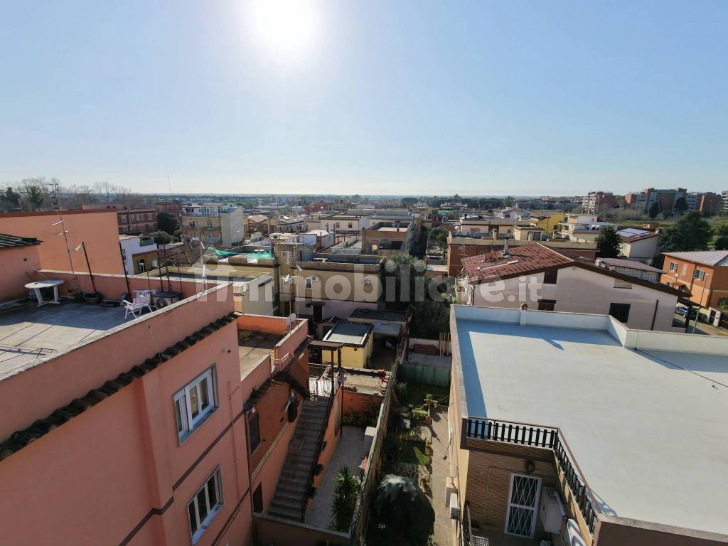 Vista