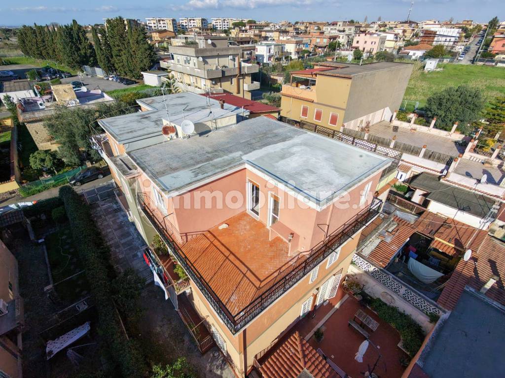 Vista