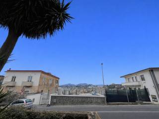 Zona