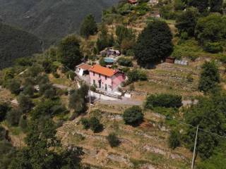 Vista