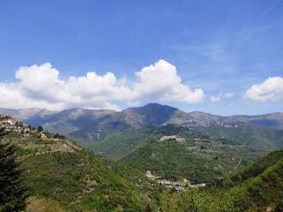 Vista