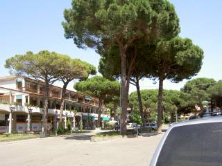 Zona