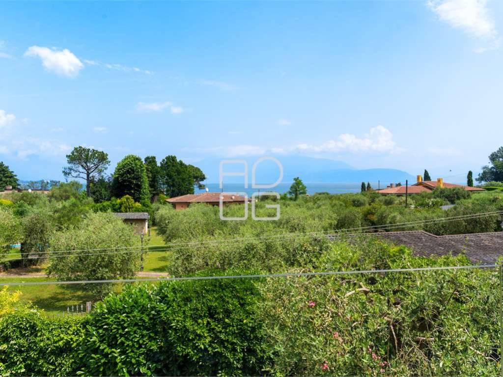 Vista