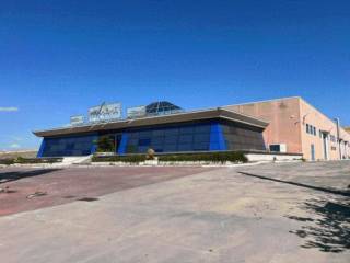 Zona