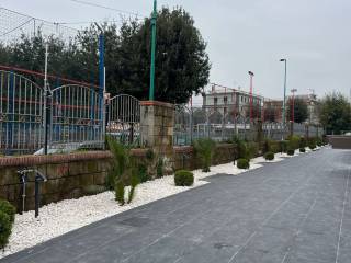 Zona