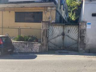 Ingresso