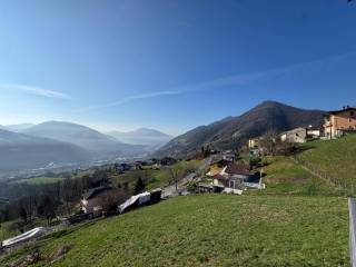 Vista