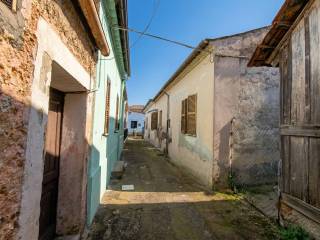 Zona