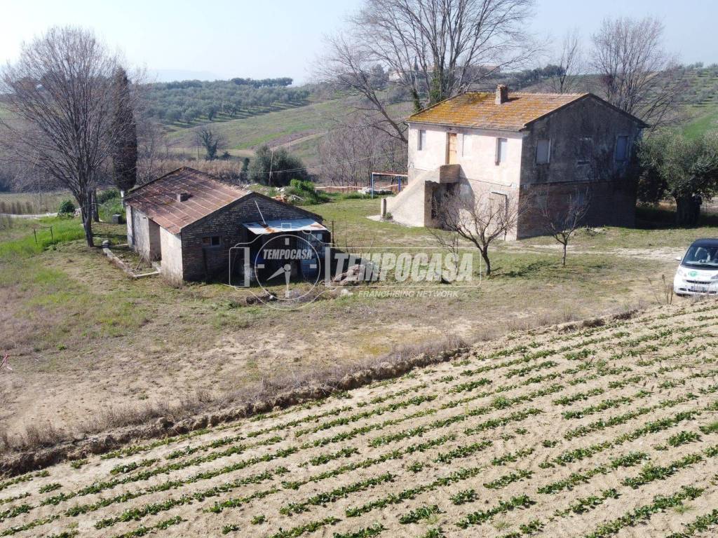 Terreno