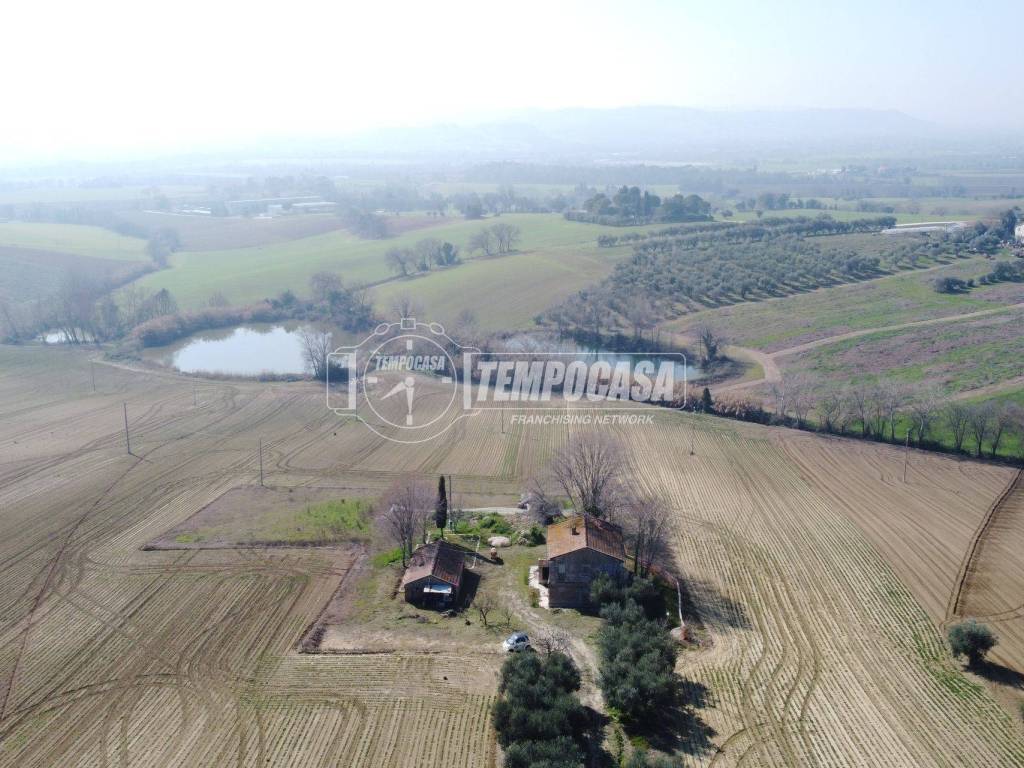 Vista