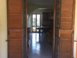 Ingresso