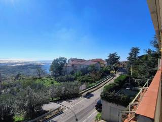 Vista