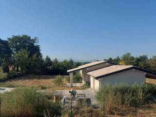 Vista