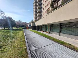 Zona