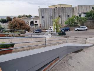 Zona