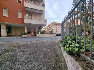 Zona