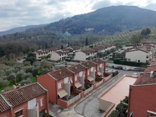 Vista