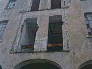 Zona