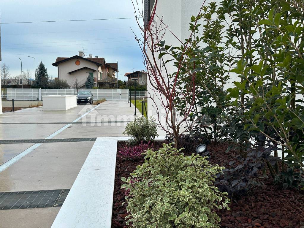 Giardino