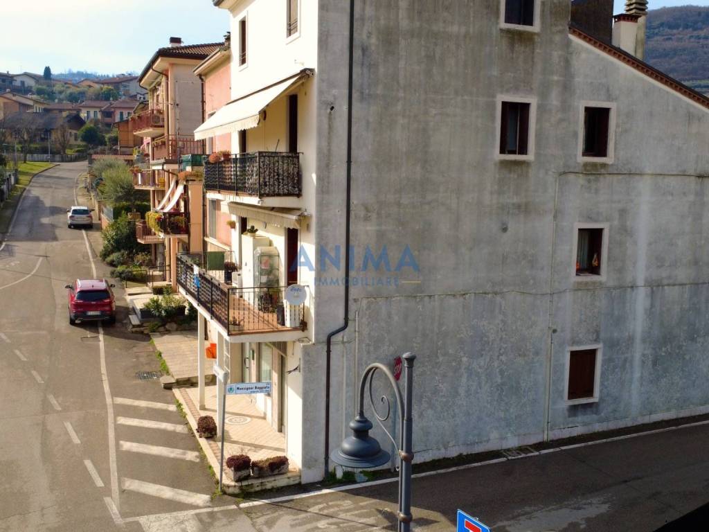 Vista