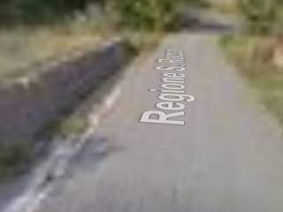 Zona