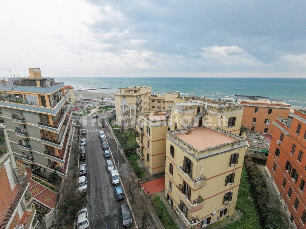 Vista