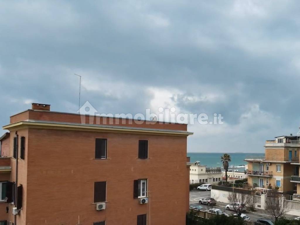Vista