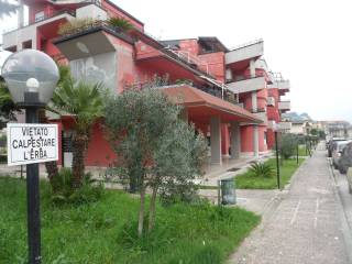 Zona