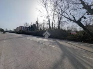 Zona