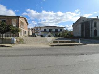 Zona