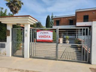 Ingresso
