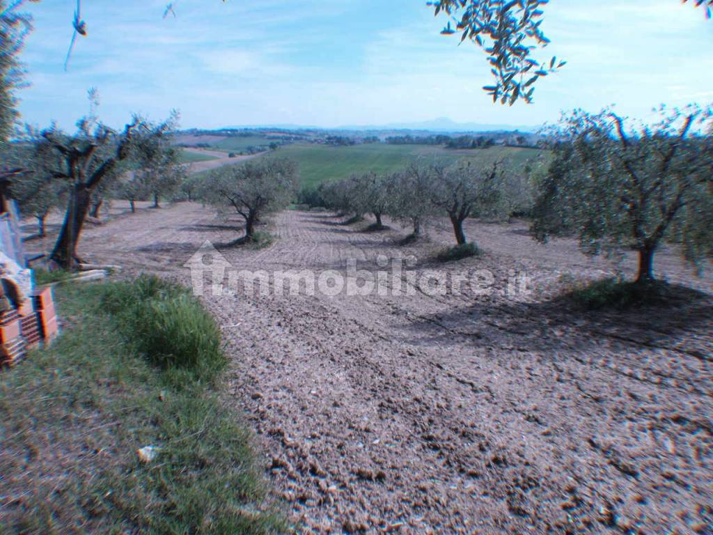 Terreno