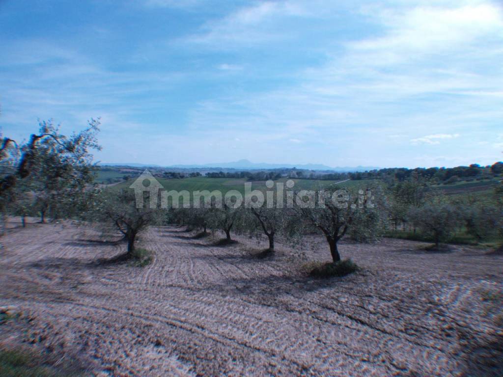 Terreno