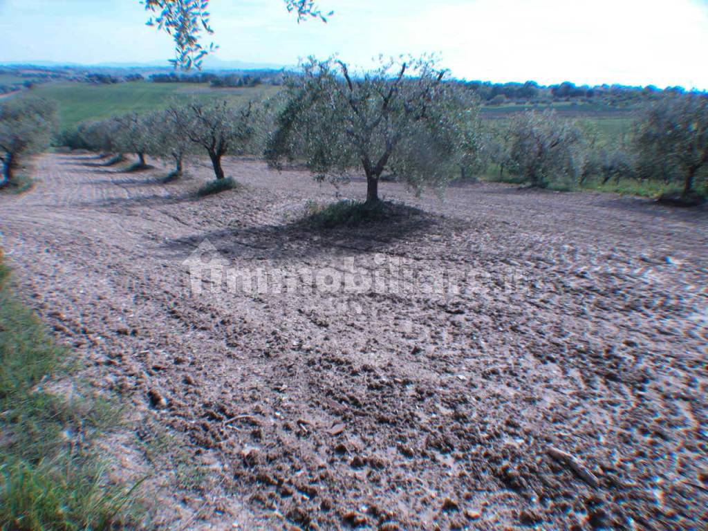 Terreno