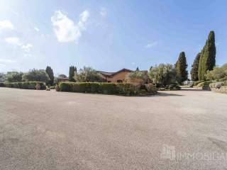 Zona