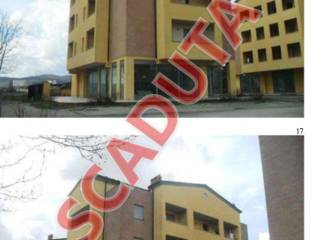 Zona
