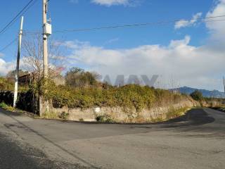 Zona