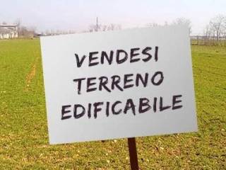 Zona
